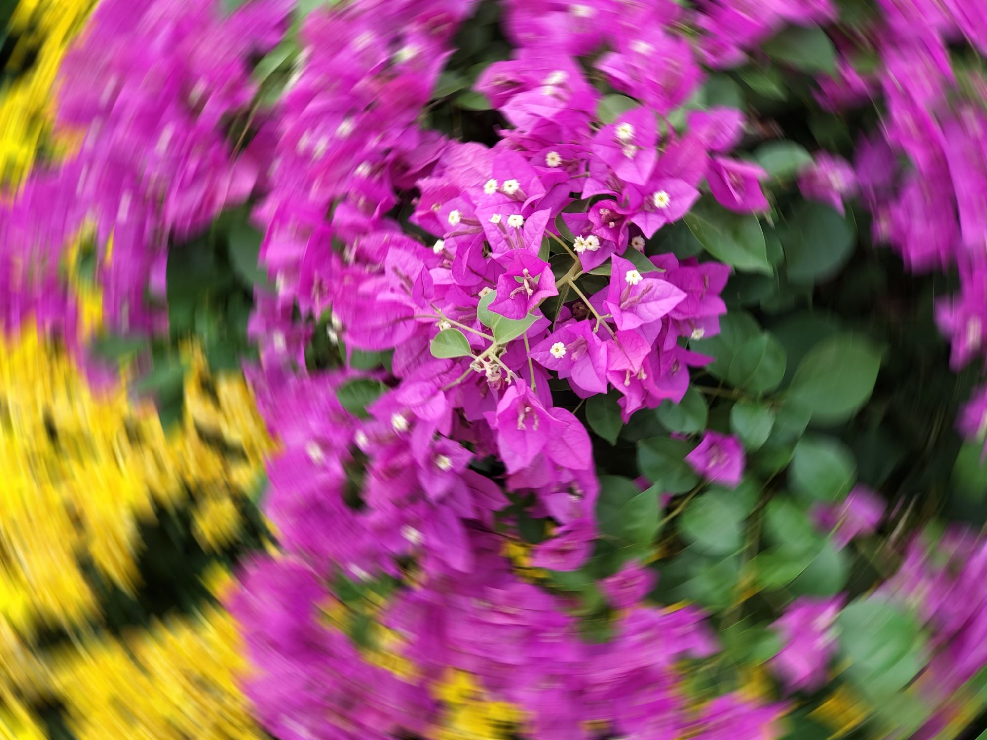 三星 galaxy note10  5g 体验:目前最美的 5g 手机?