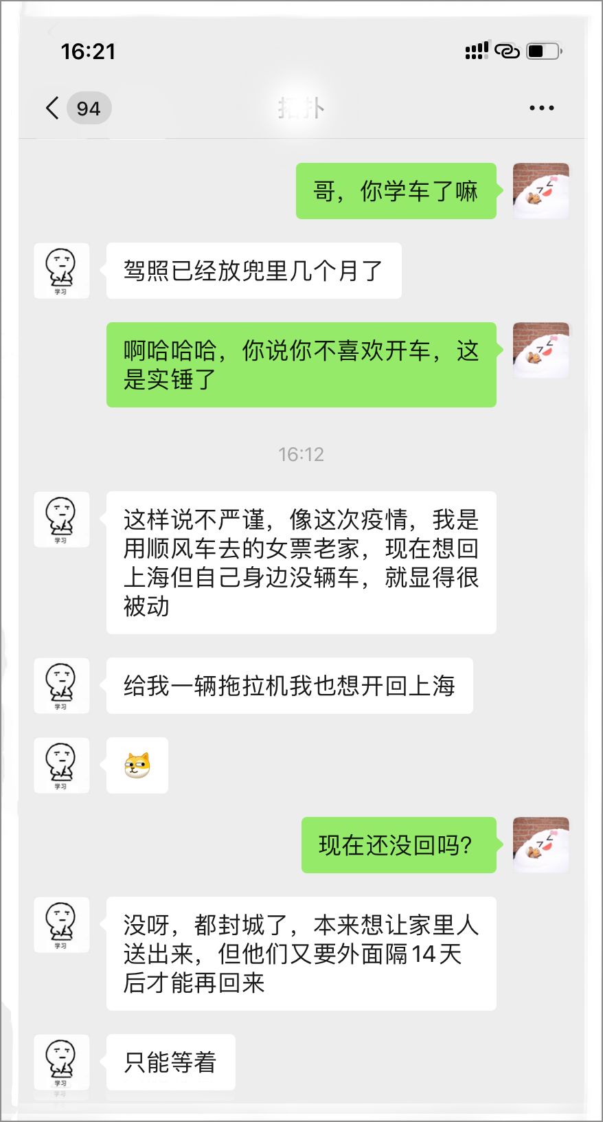 豆瓣鹅组图片