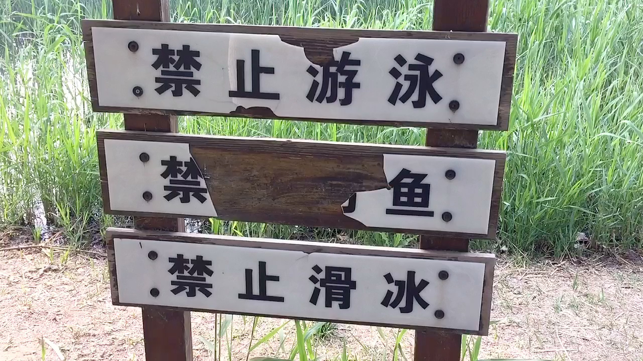公园钓鱼应该吗?旁边有禁止钓鱼的提示怎么还有那么多人钓鱼呢?