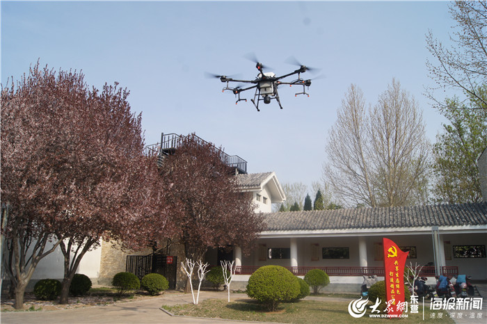 广饶县乐安公园管理处绿化养护出新招 无人机喷洒药物防虫害