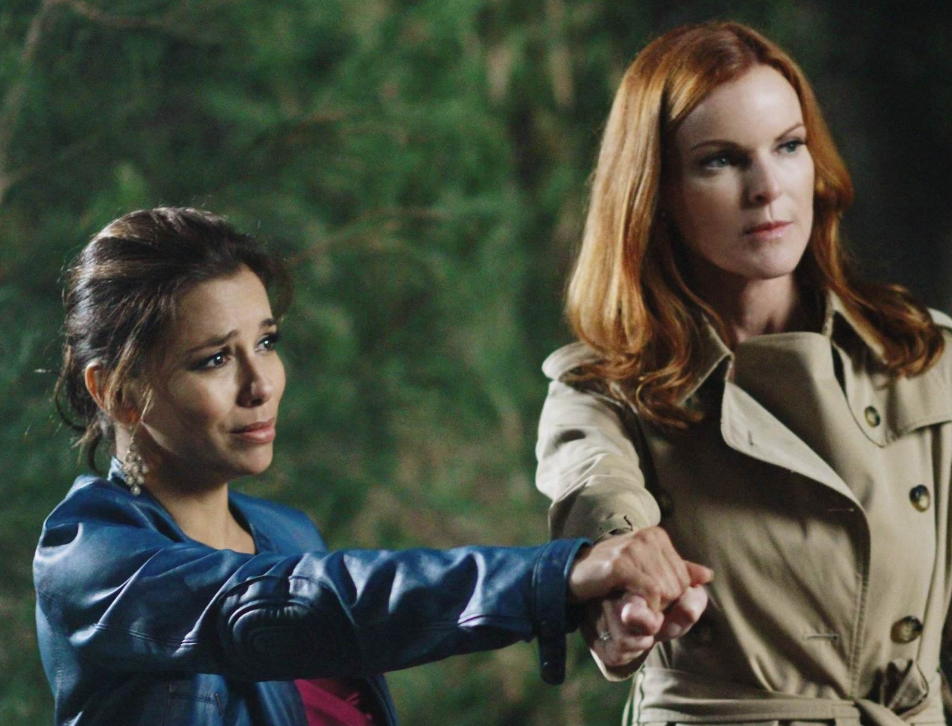 "绝望主妇 第八季"影评