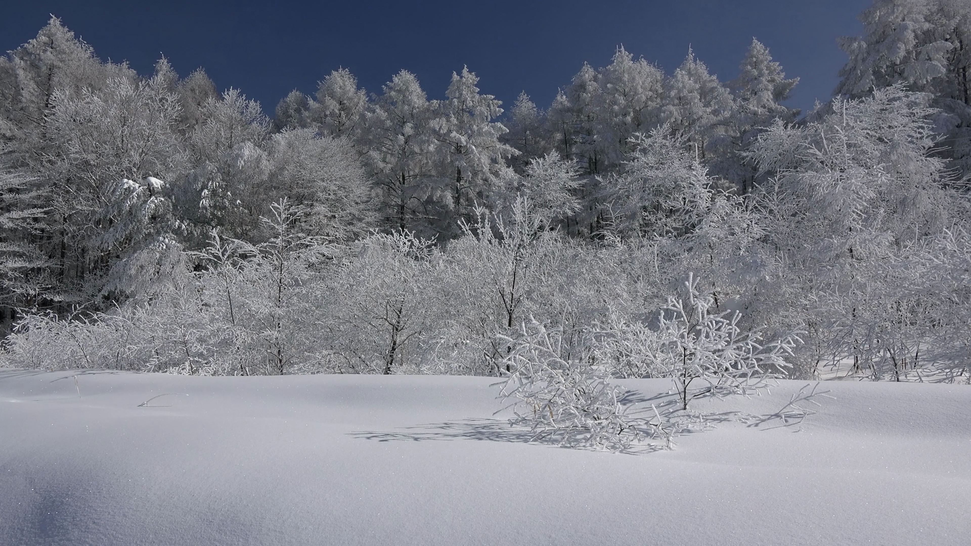 唯美风景|第十五期