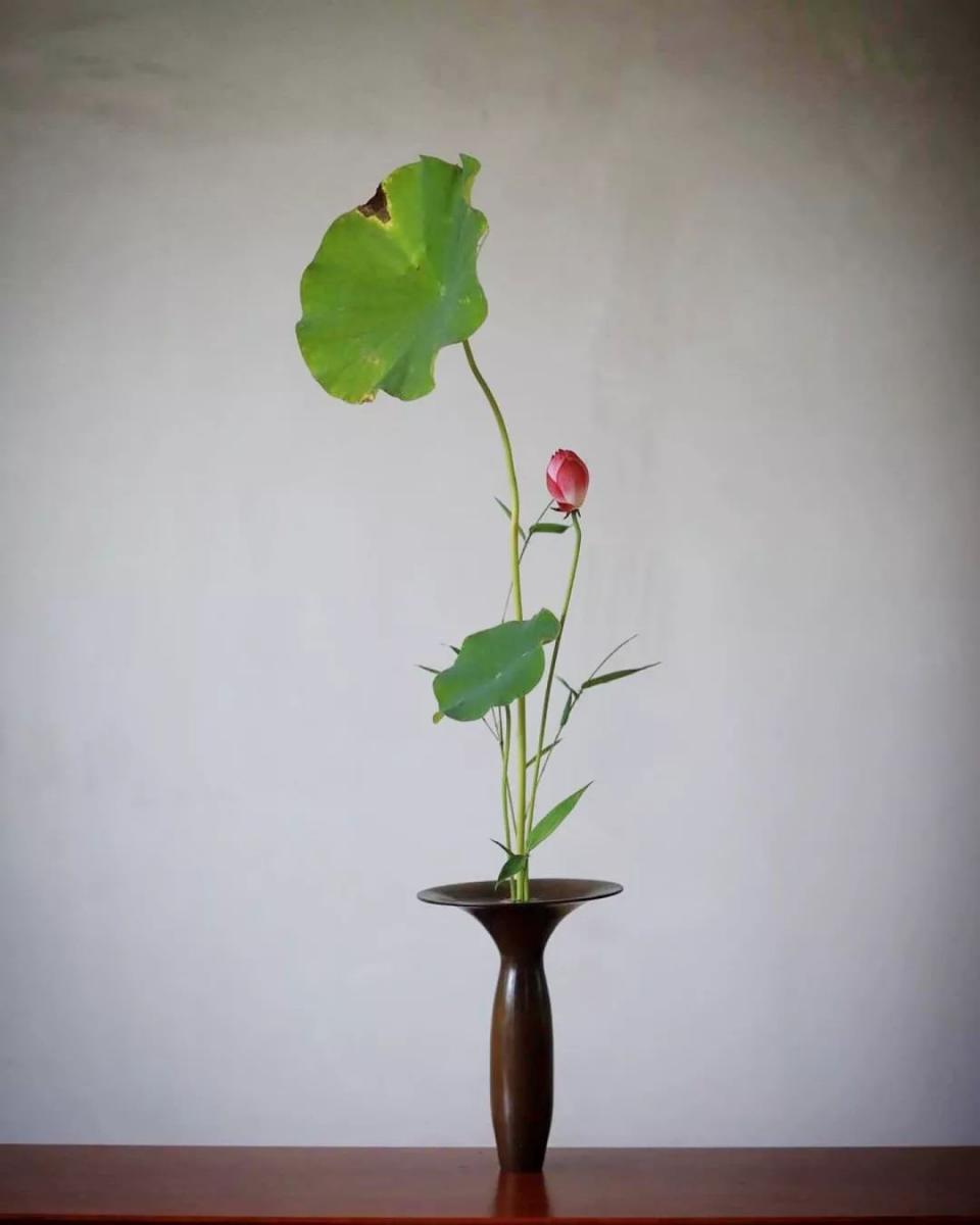 日本花道,把禅意表现得唯美至极,这三大代表流派你了解多少?