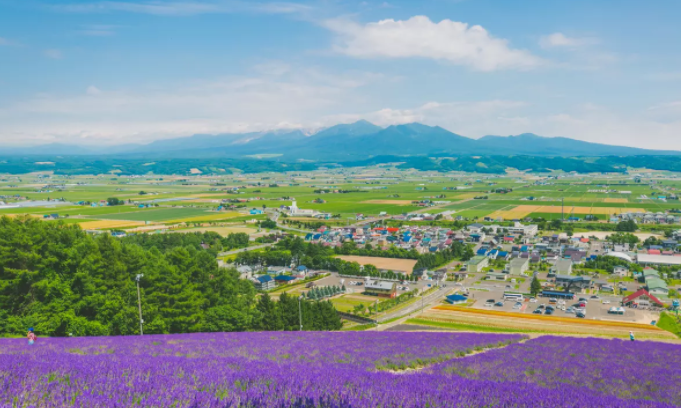 在日本旅游时