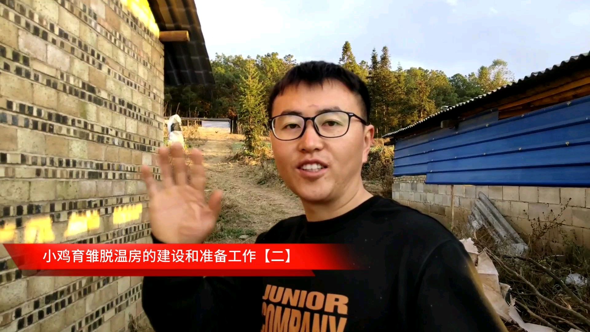 文山土鸡哥带你了解小鸡脱温房的建设,让小鸡脱温变得简单