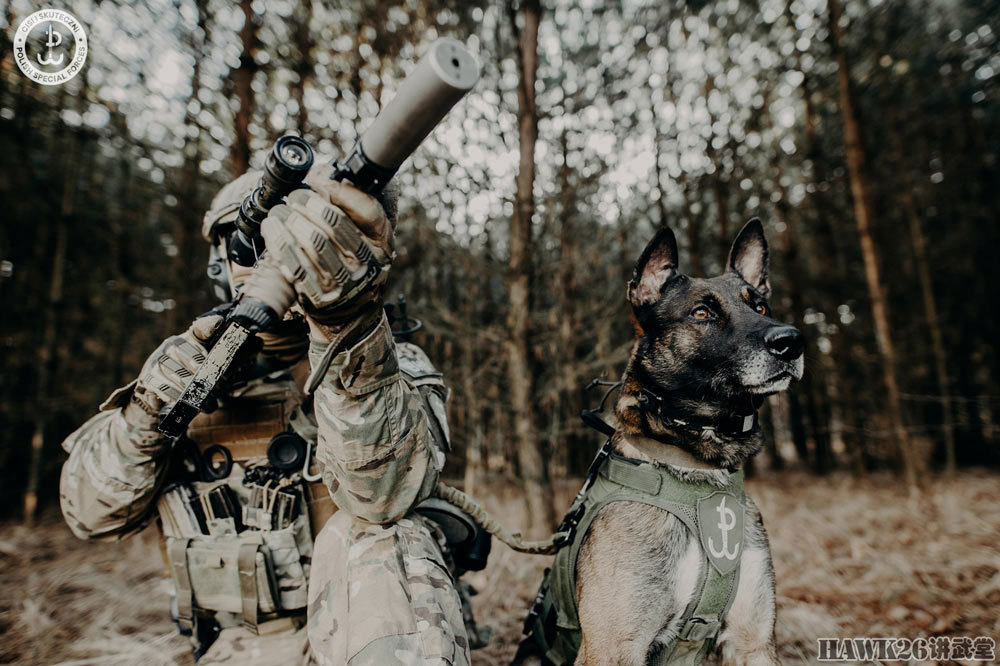 波蘭jwk特種部隊:軍犬居然有老兵的眼神 優秀攝影師就是戰鬥力