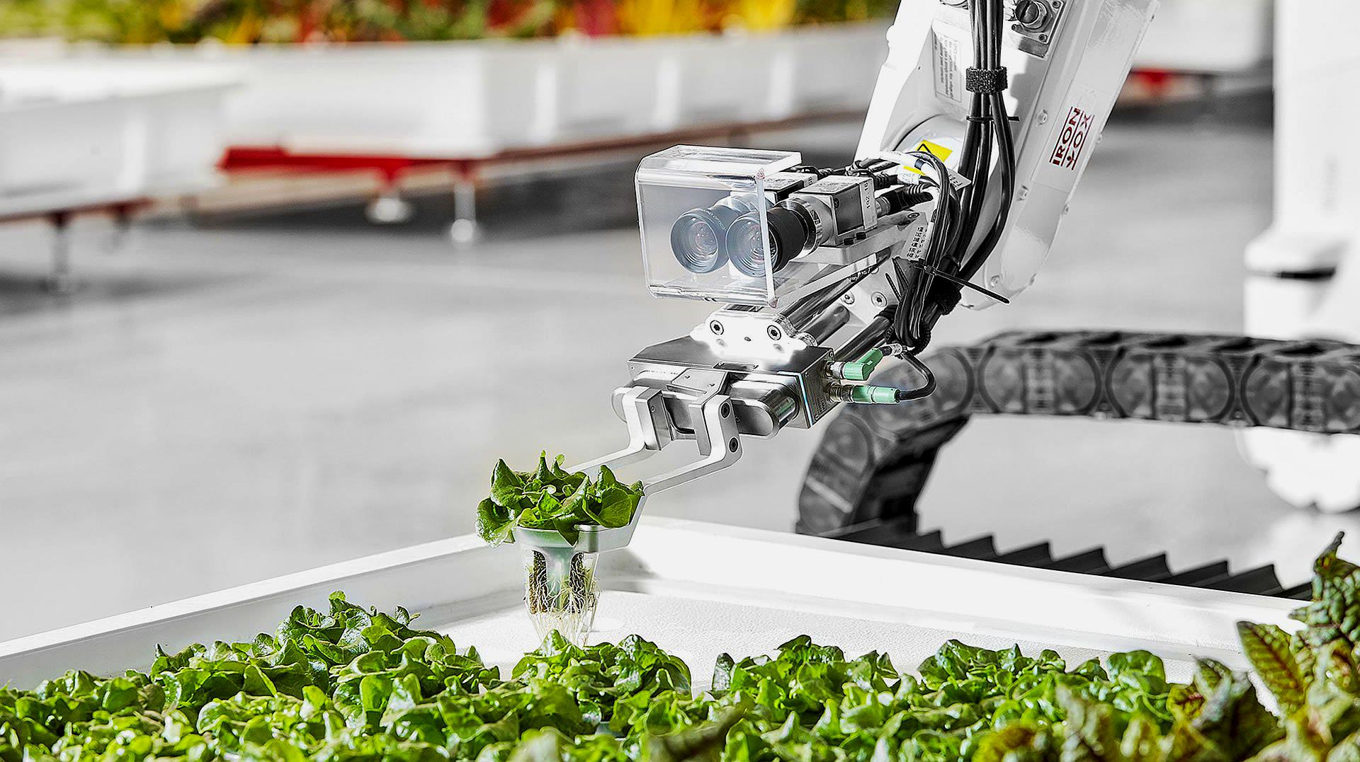 这机器人农场,全程自动化种菜,收成提高30倍,还节省大量用水