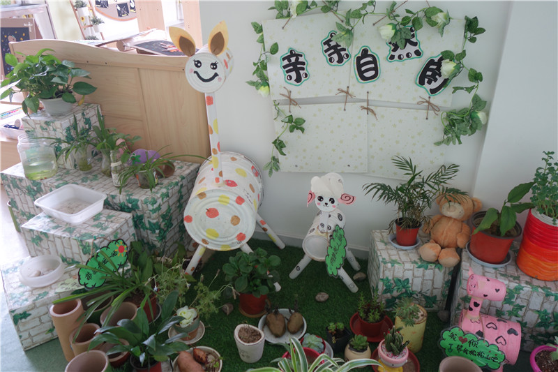 幼儿园自然角环境创设精选