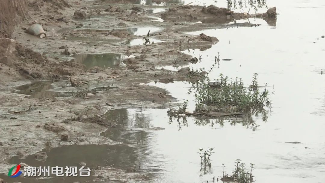 潮州枫江流域河涌综合整治预计6月底完成,复工率已达80%