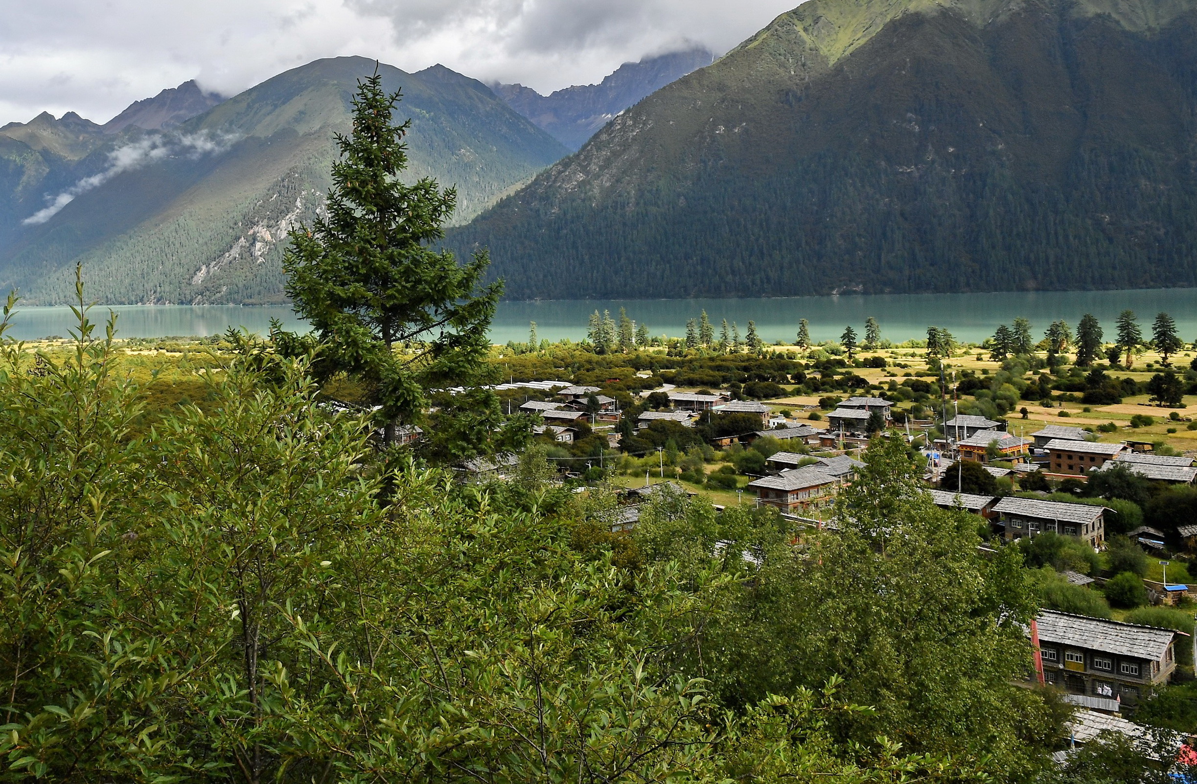 林芝结巴村:不砍树搞旅游富了(1)