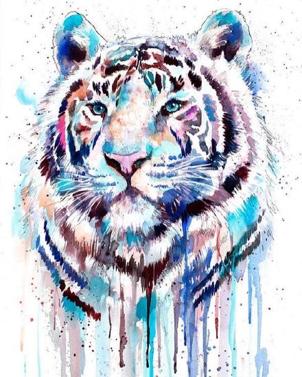 重口味的色彩艺术,"无敌"的色彩绘画"呆萌"动物,这反差绝了