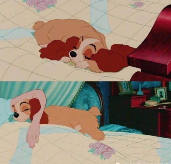 迪士尼给你的可爱,白雪公主的满眼深情,小松鼠却是笑到模糊