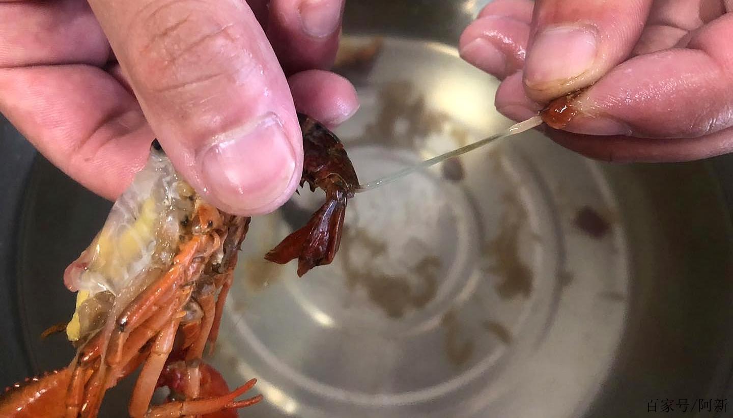 龙虾怎么处理（龙虾怎么弄才干净）
