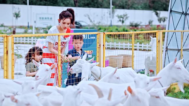 贝博儿《爱宝贝晒一晒》寻味之旅再启程 探访奶源地大作战
