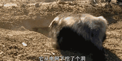 400_200gif 动态图 动图