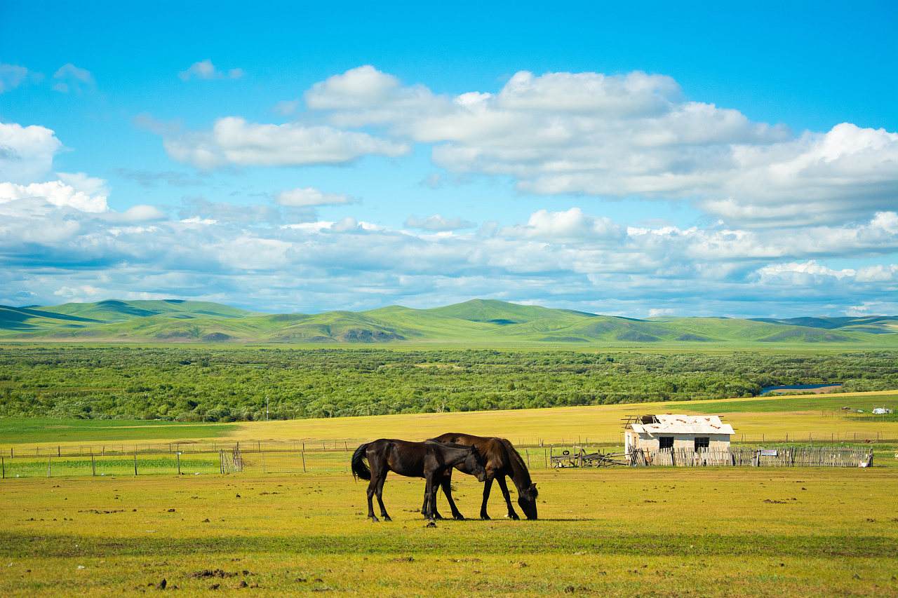 骑上一匹骏马,在一望无际的大草原上肆意驰骋,何不为人生一件乐事?