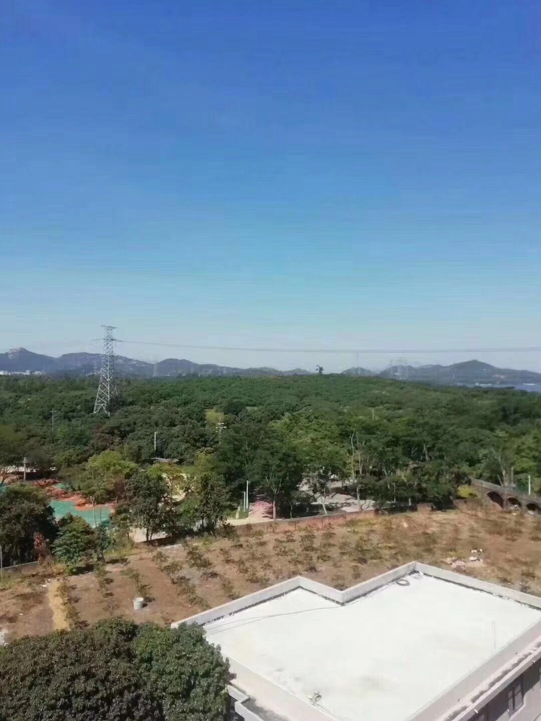 东海百货,岁宝百货,百佳华超市,万宁,国惠康商业步行街等… 学校:石岩