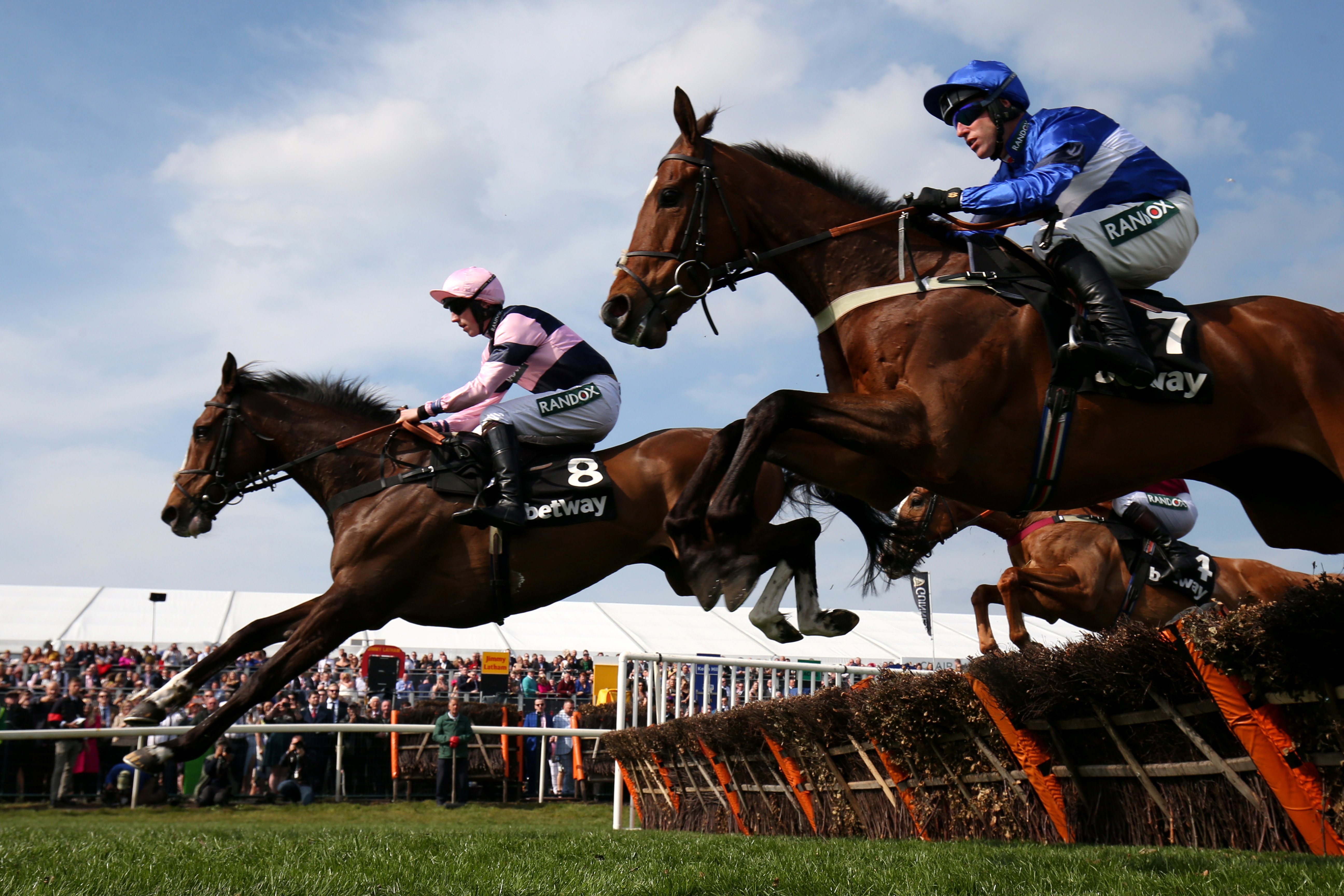 英国国家障碍赛马大赛落幕(6)