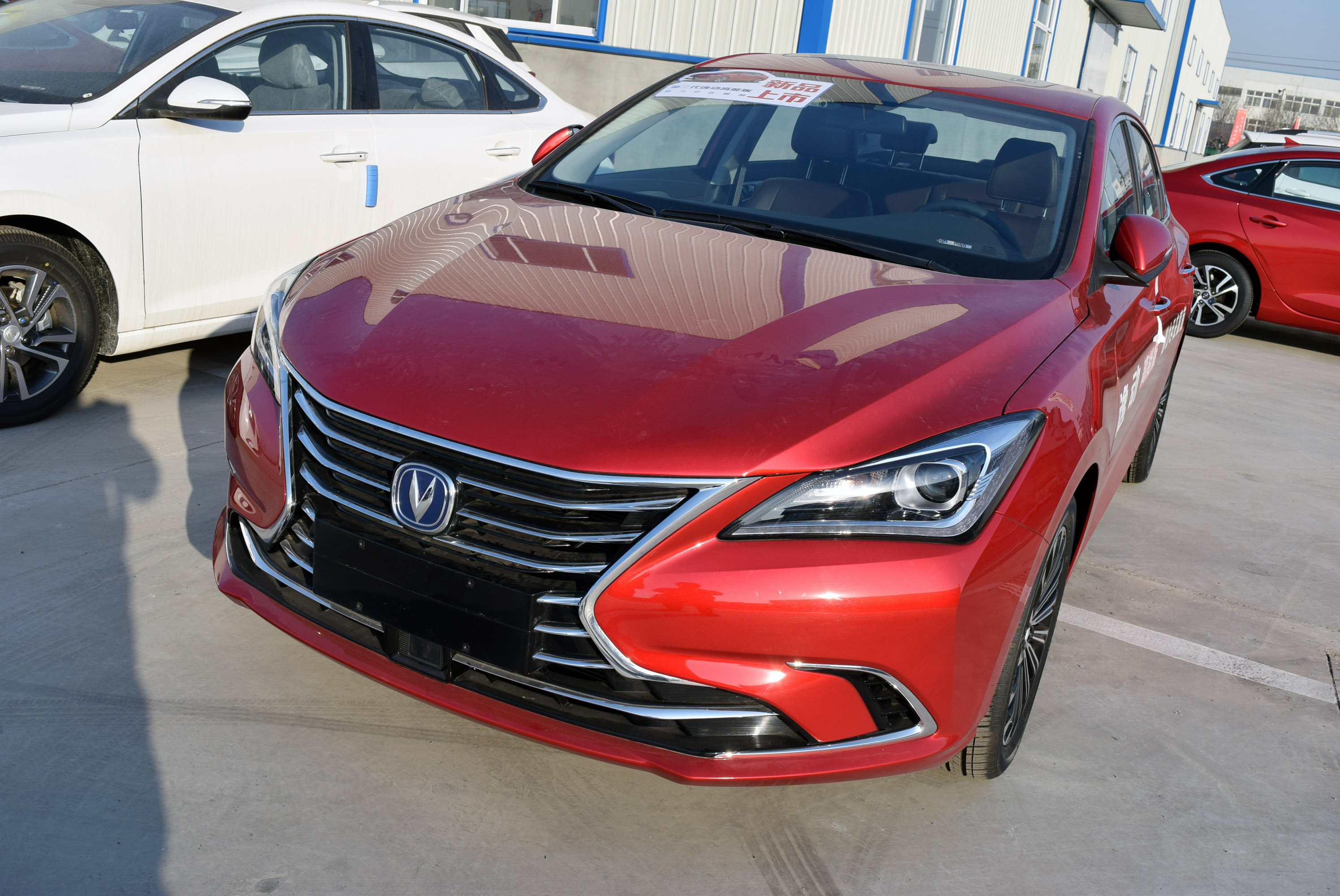 美的娇艳欲滴:长安逸动外观简拍