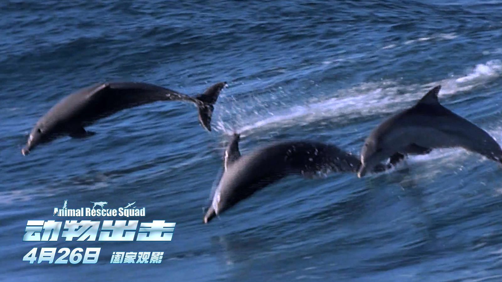 人类才能救世界?《动物出击》动物英雄疾速营救