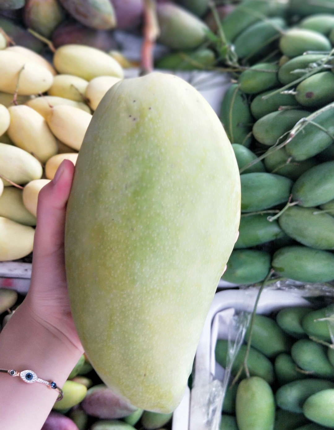 金煌 转载自百家号作者:吃货太梓说美食