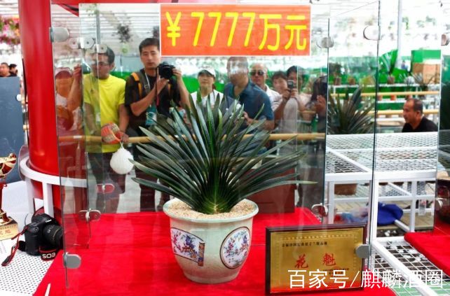 包含空軍特色醫(yī)學中心熱門科室黃牛票販子電話的詞條