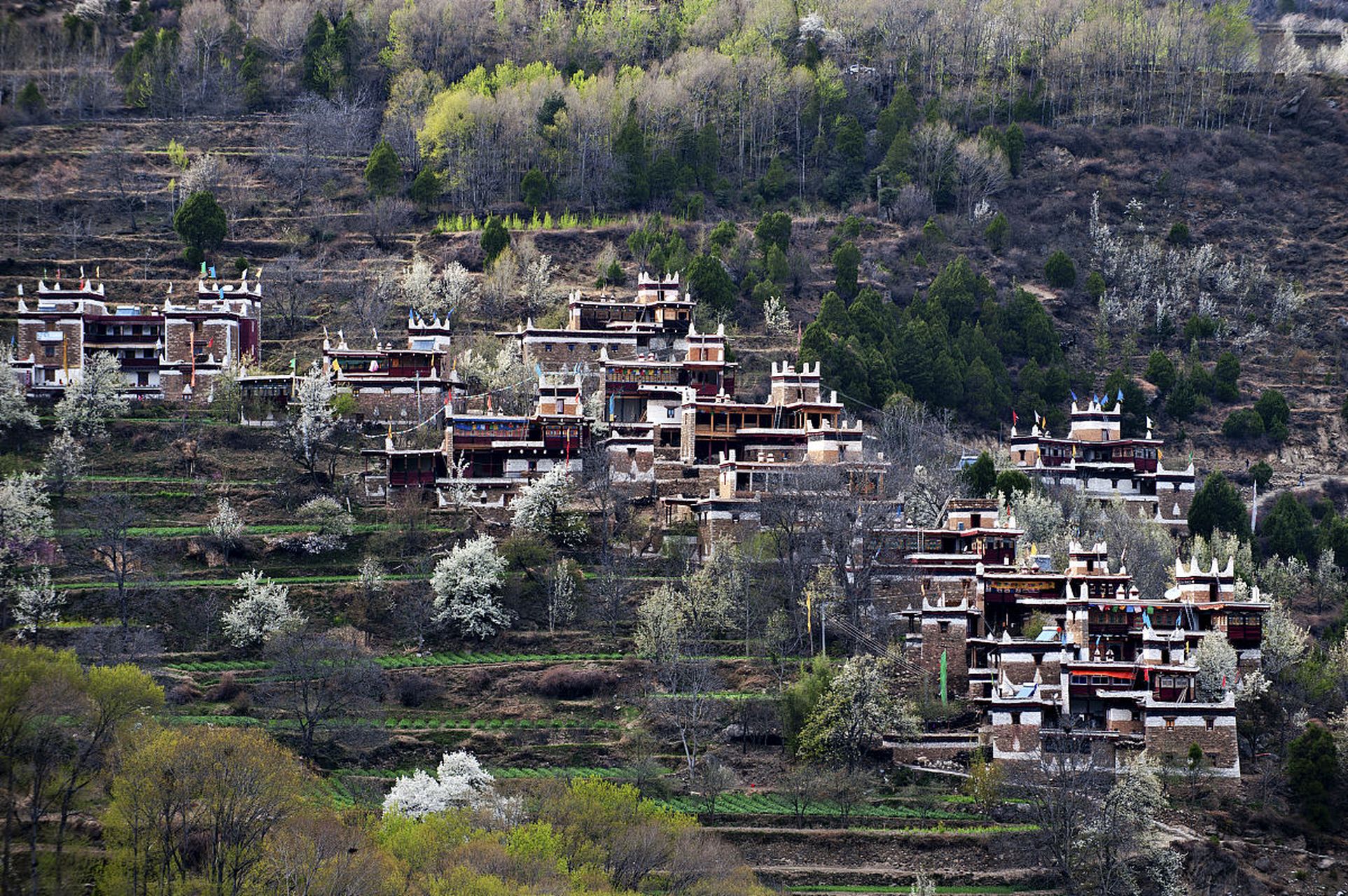 芒康盐井景区图片