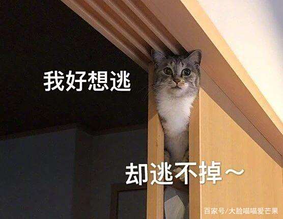 我是一只小鸭子,咿呀咿呀哟! 我是一只小鸭子,咿呀咿呀哟!