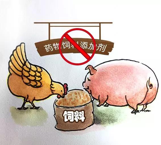 饲料"禁抗"新政出台,行业准备好了吗?