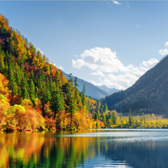 小米max4多久会上市?会有什么样的配置?如果