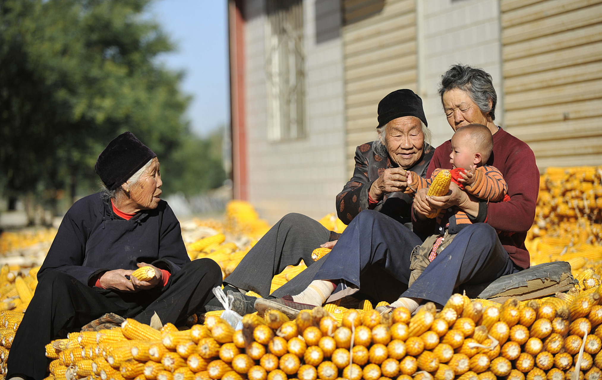 中国农村人口老龄化问题已经成为一个严峻的挑战.