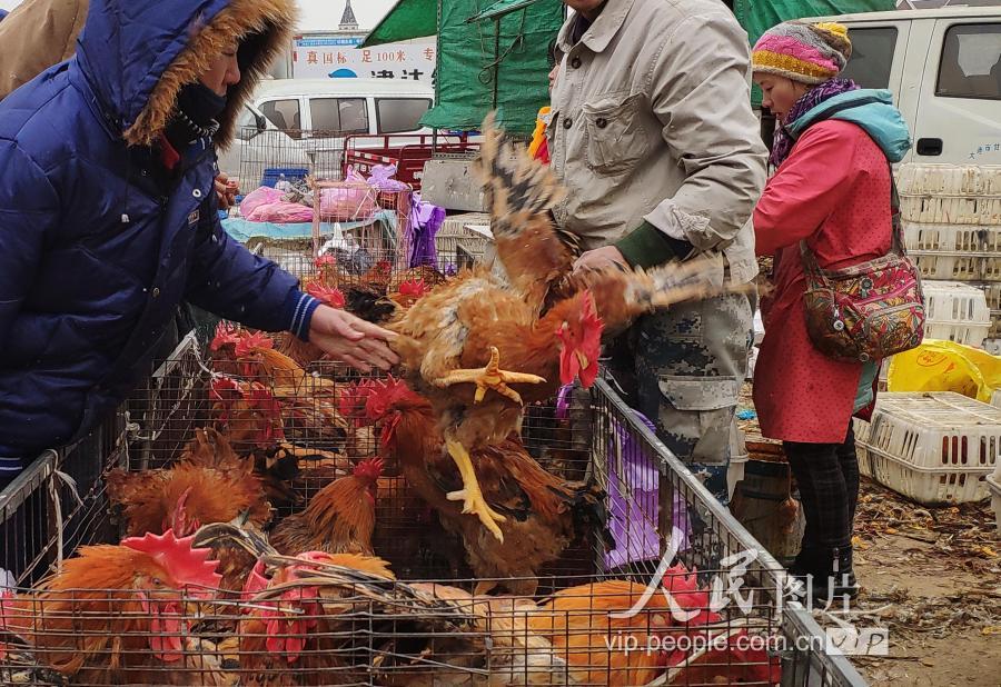 2019年1月27日,人们在大连郊区的营城子大集上备年货.