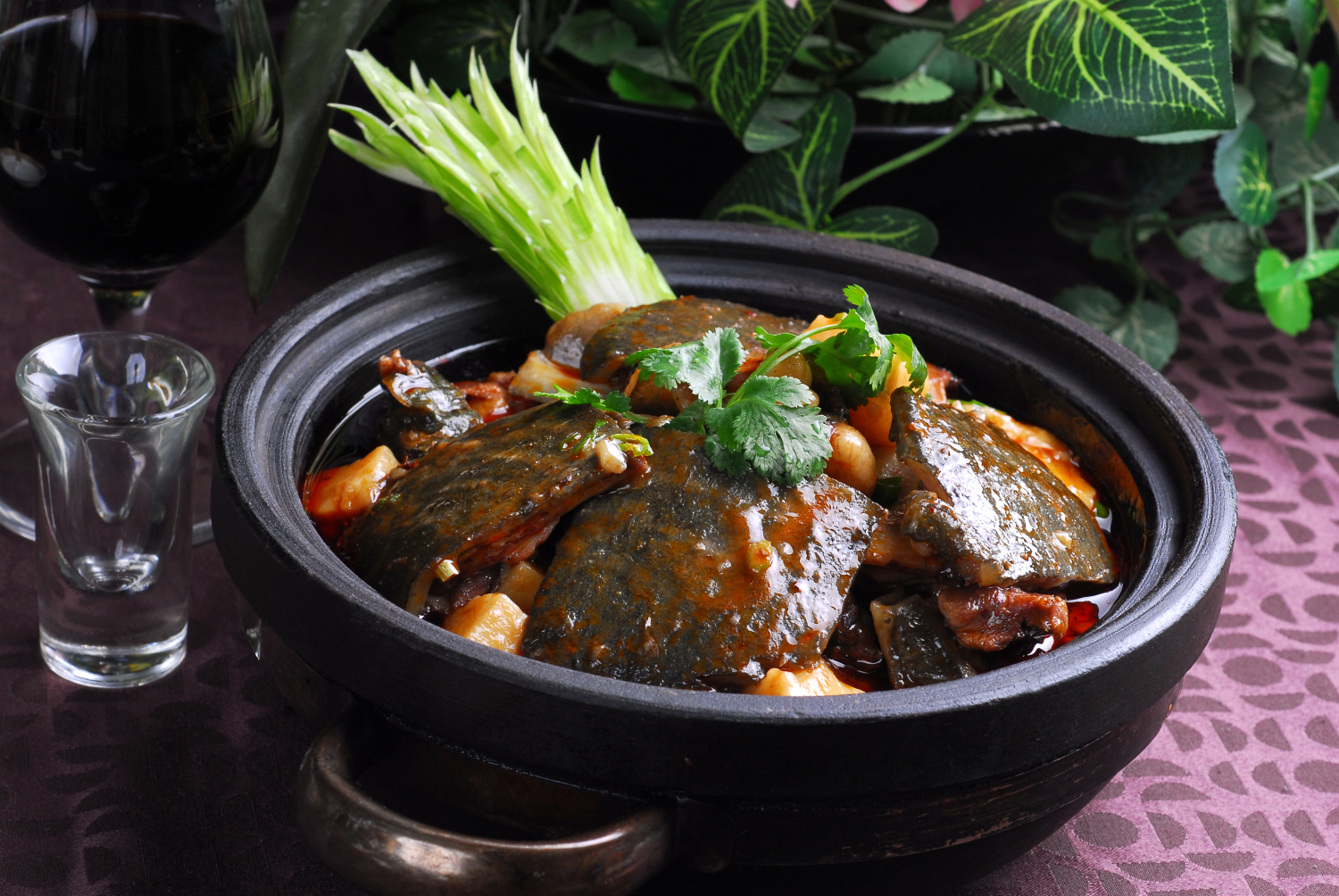 每日推荐六道美味炒菜:六道令人欲罢不能的美食,凉粉烧甲鱼