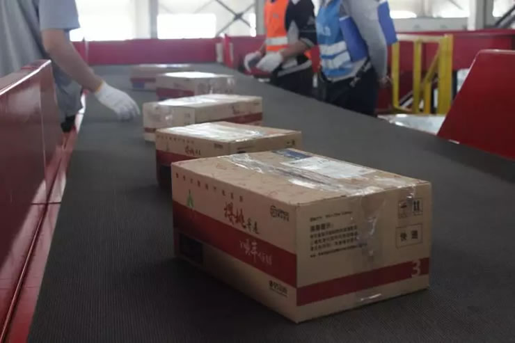 鲜果冷链速递,顺丰是如何撬动这个千亿规模产业链的?