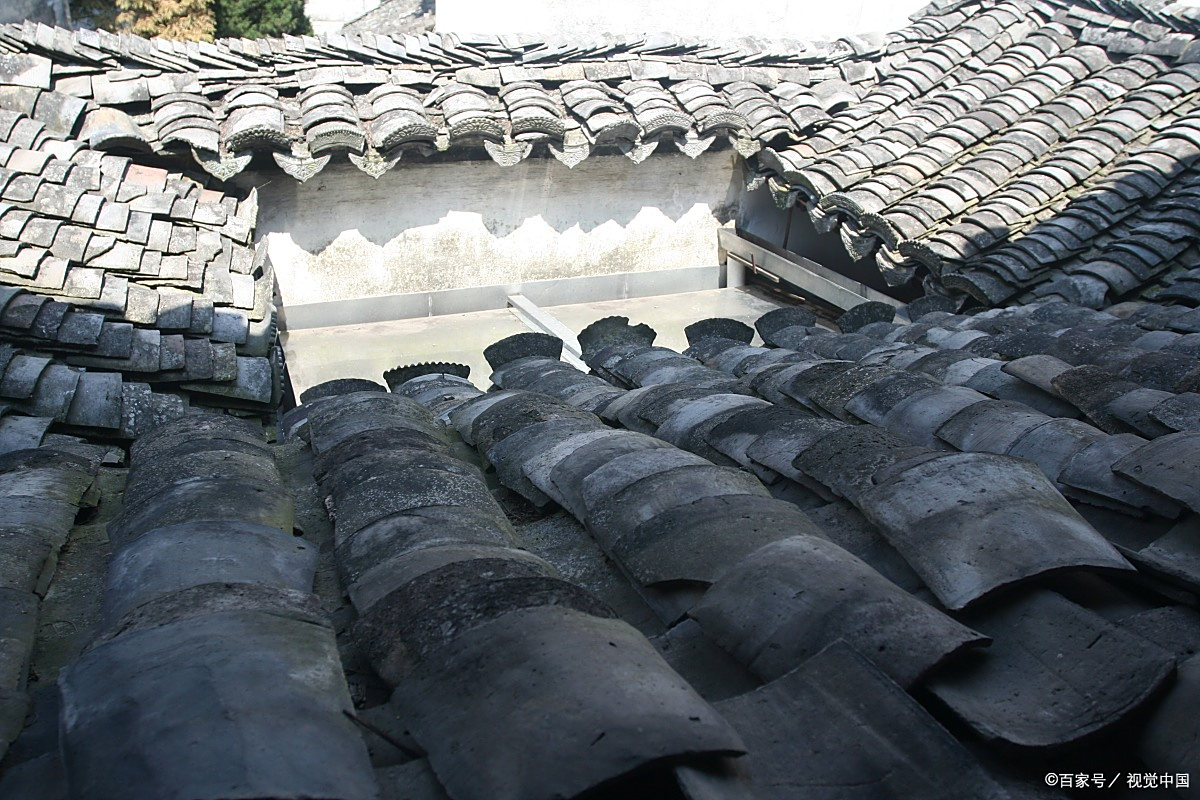 青瓦- 热门商品专区