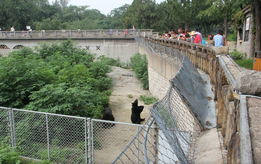 济南动物园:国内规模比较大的城市动物园之一,景区内有很多动物