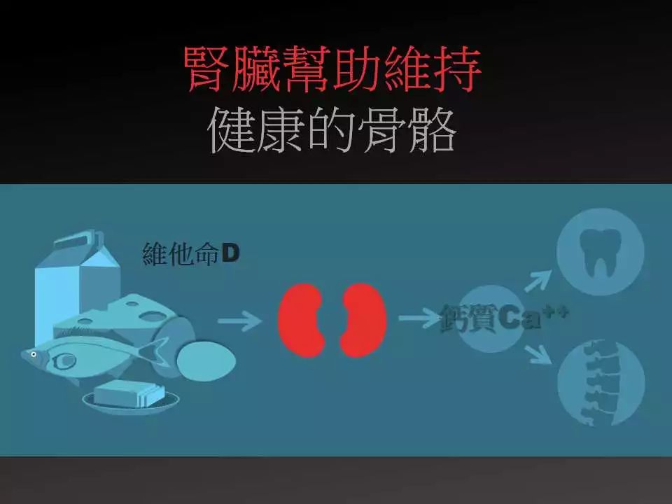 肾脏都有哪些功能?一组简图帮你认识一下