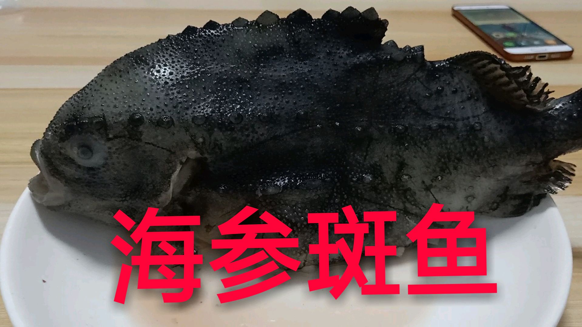 小涛试吃深海野生海参斑鱼,肉质鲜美,口感滑嫩,连骨头都能吃!