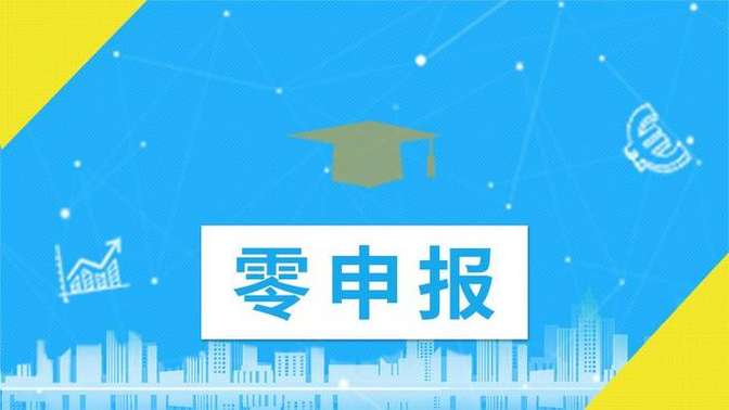 申报人是什么意思