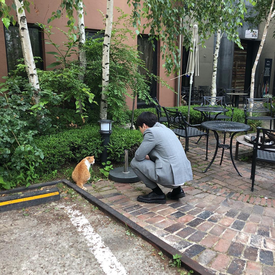 为了吸猫形象什么的都可以不要了 龙俊亨小背影也可爱十足