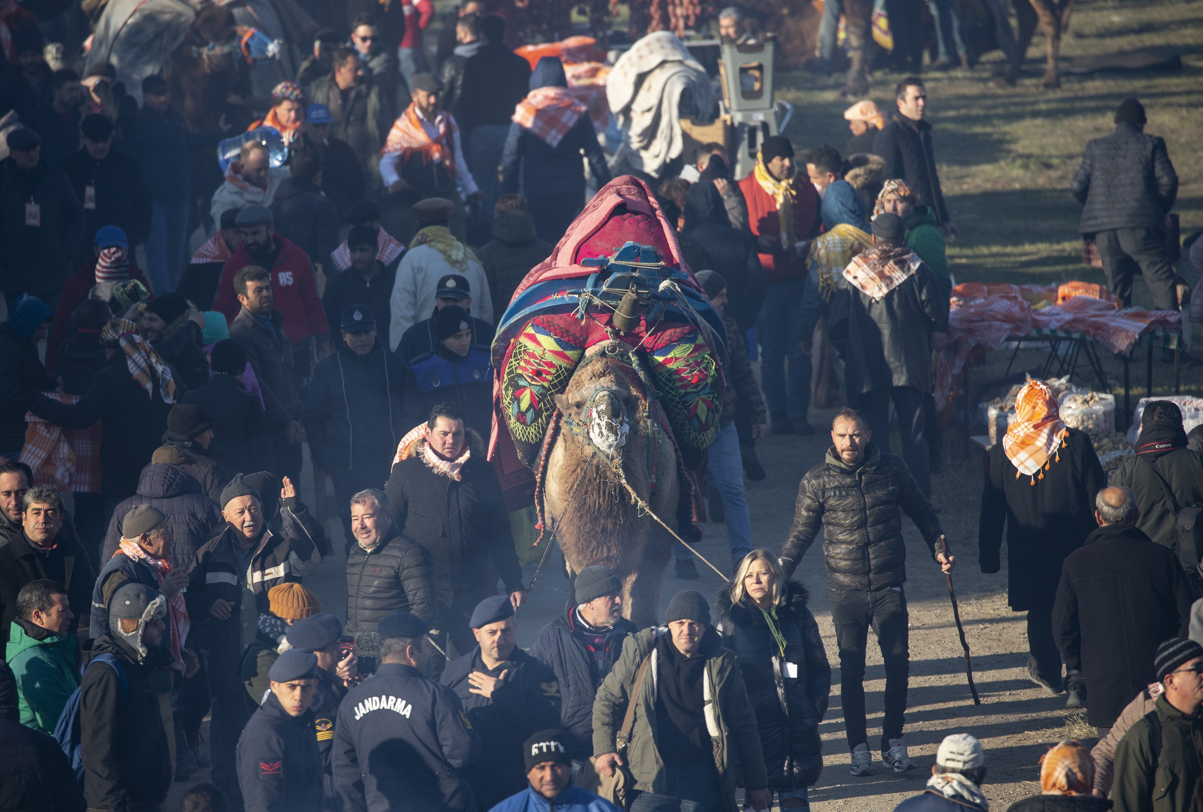 土耳其摔跤图片