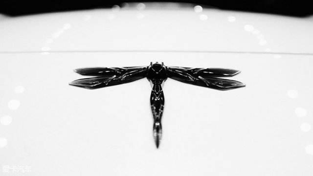 像蜻蜓翅膀的车标图片