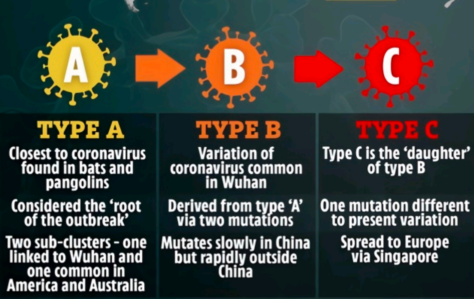 新型冠状病毒变异过程图片