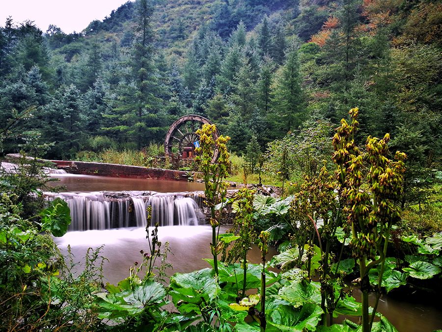 野荷谷,你不来这里放松一下,看看这里的景色吗?