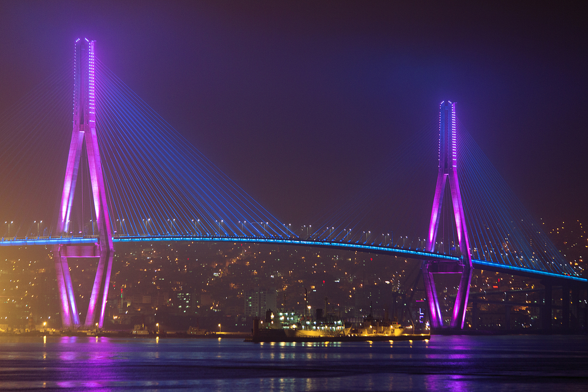 上海的一座标志性建筑——南浦大桥.