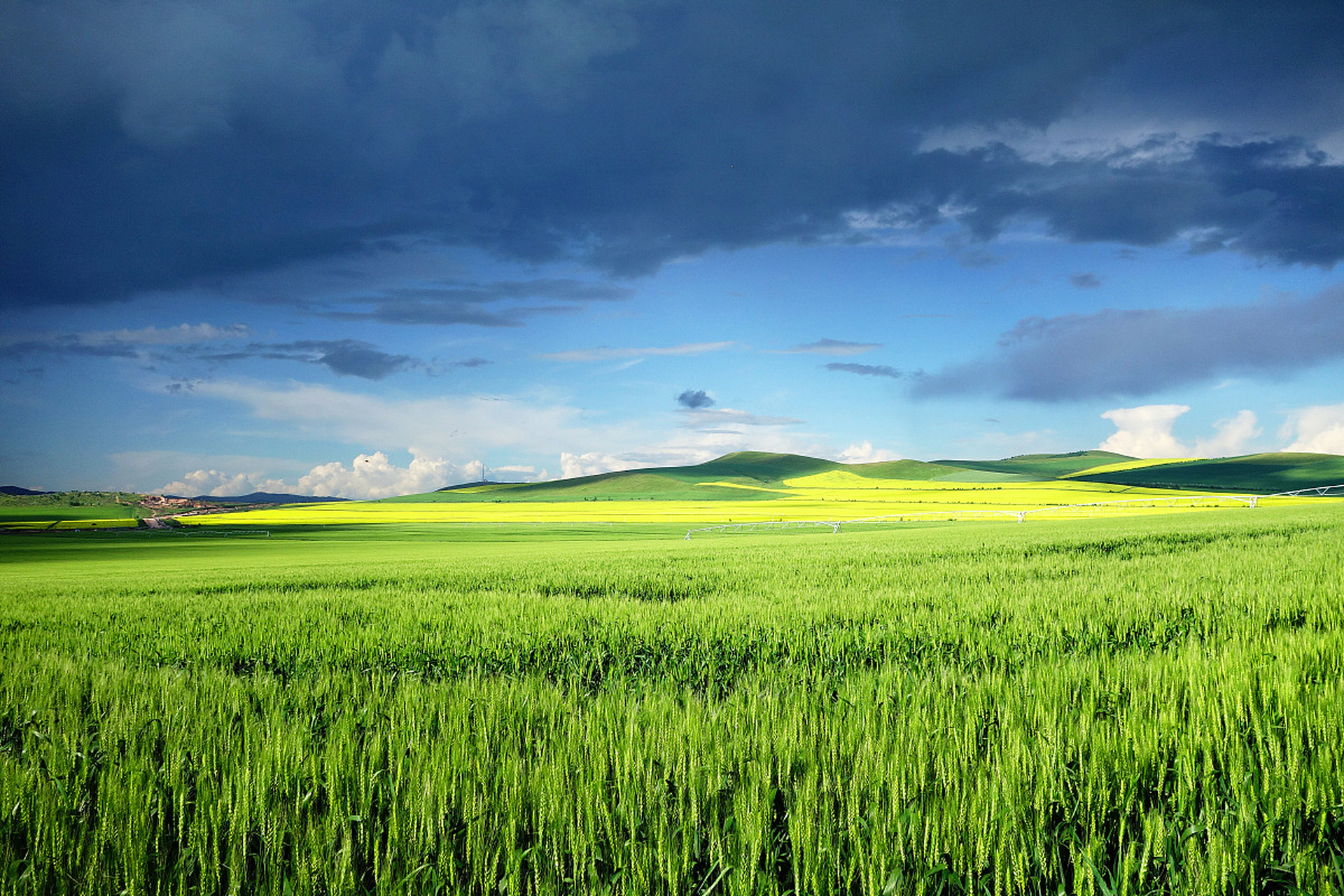 🌾 利用词根记单词:agri, agro, agr与田地农业 🌱 词根——agri