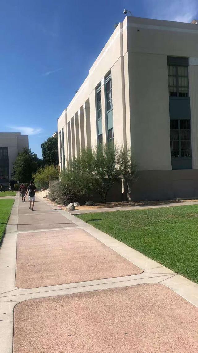 韦恩州立大学毕业后好找工作吗?