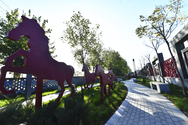 通州区马驹桥镇神驹村:环境美了村民乐了