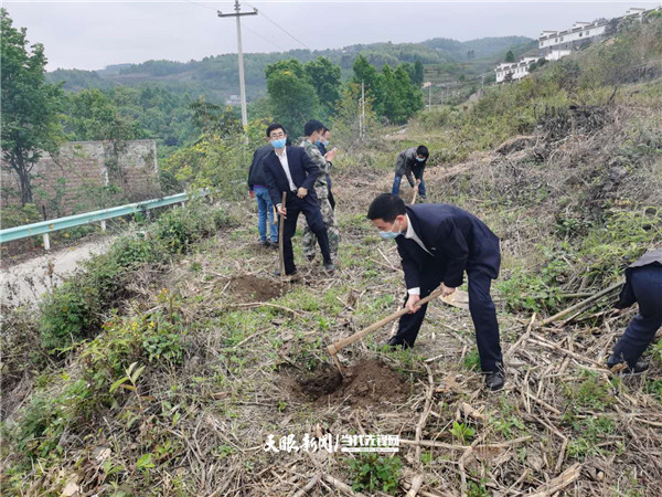 贞丰县沙坪镇图片