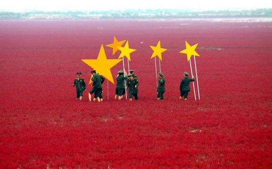 辽宁文化旅游:红海滩:天地间舞动的红色精灵